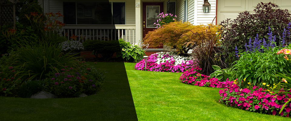 Dixon Landscapers