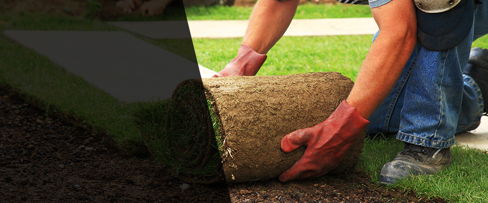 Dixon Landscapers